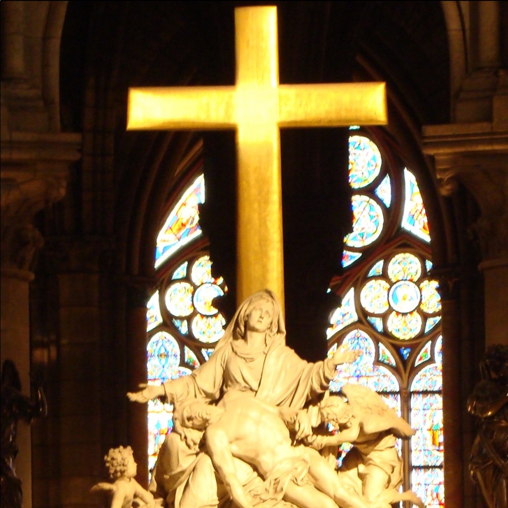 ❤️❤️A BLESSING AND A CURSE❤️❤️